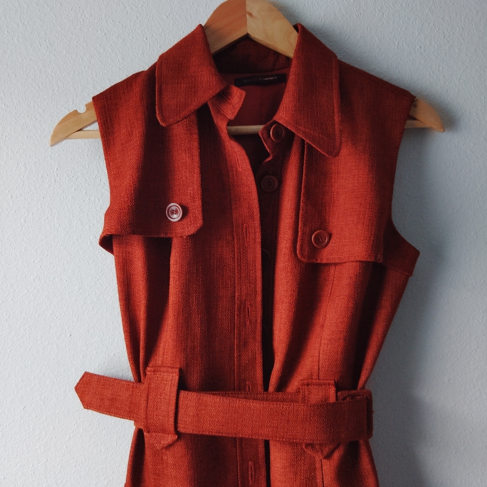 David Meister Rust Mini Dress - Picture 5 of 8